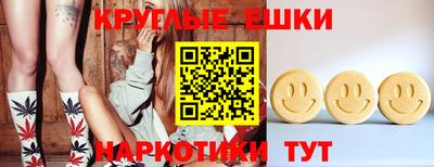 гашик Малгобек