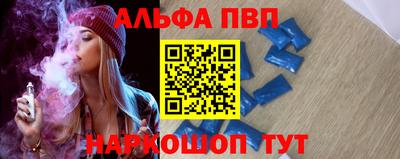 гашик Малгобек